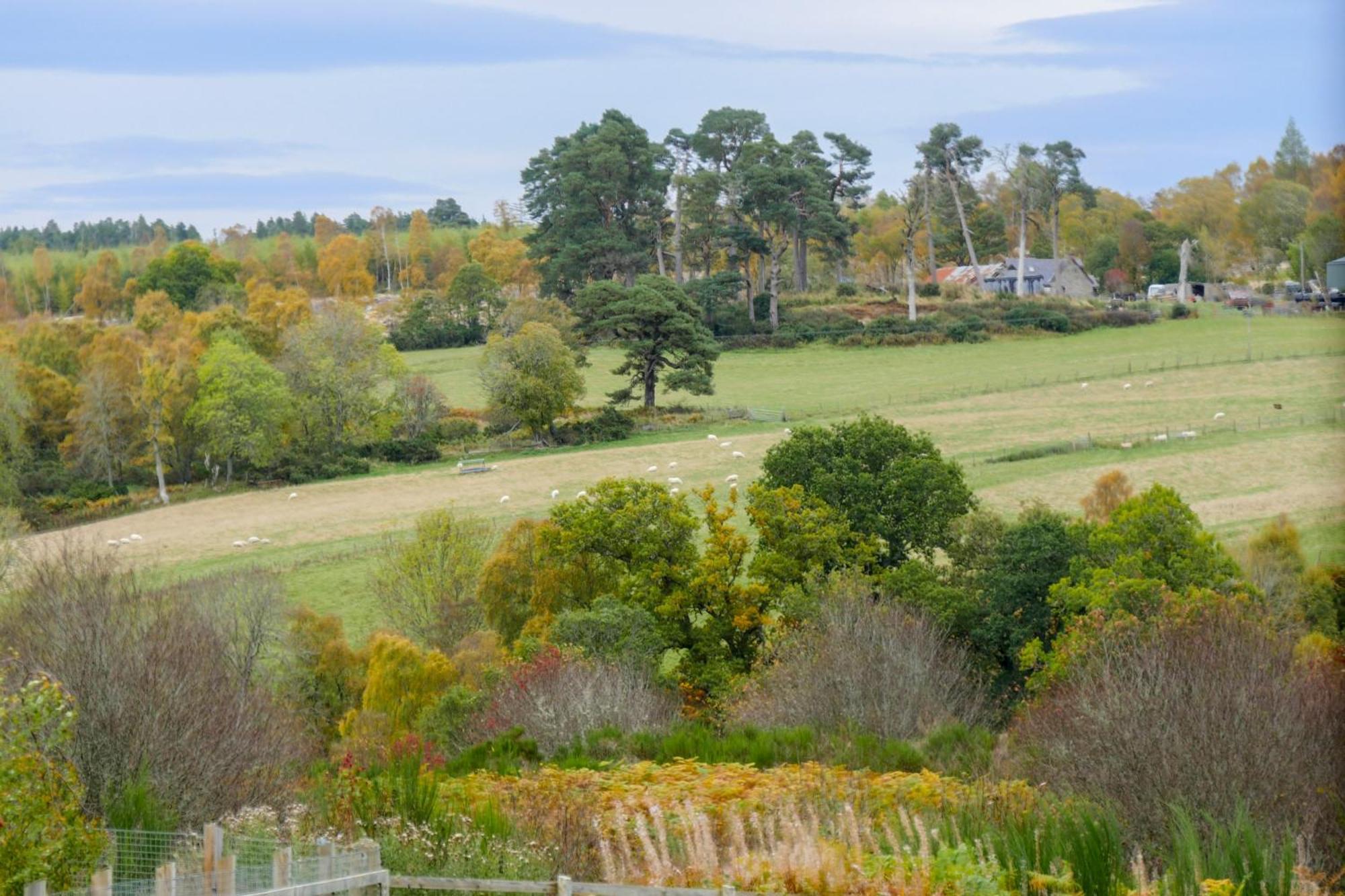 Glenview Chalet Park Inverness Bagian luar foto
